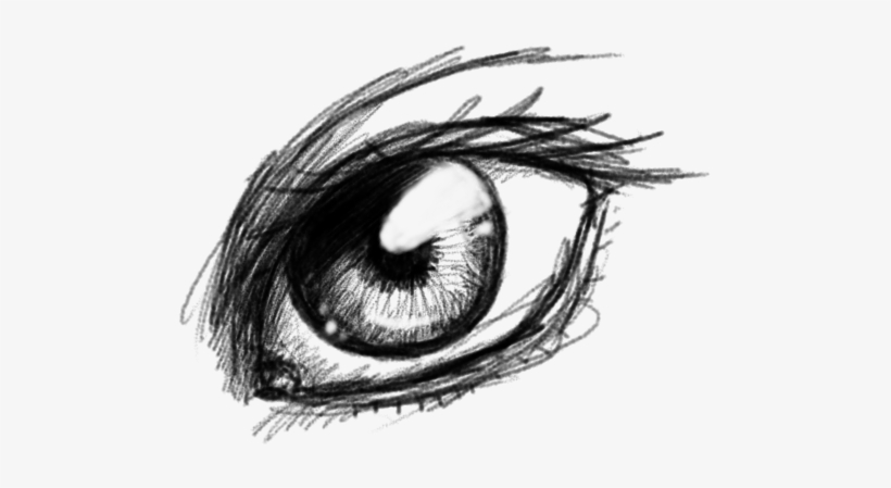 Drawn Eye Transparent - Sketch, transparent png