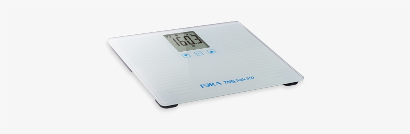 Scale, transparent png