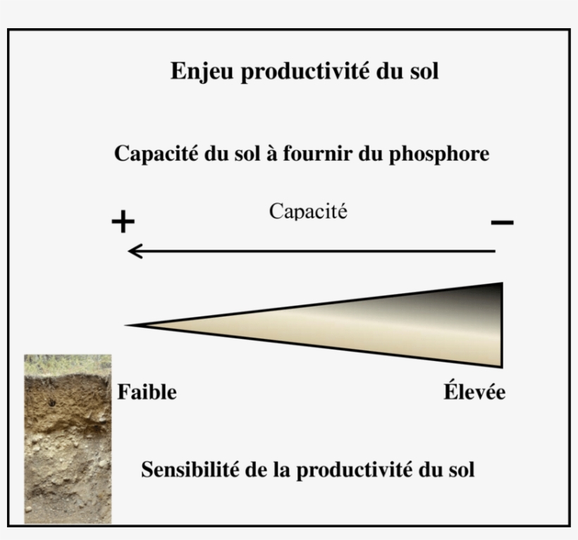 Gradient De Sensibilité Basé Sur La Capacité Du Sol - Organic Matter, transparent png