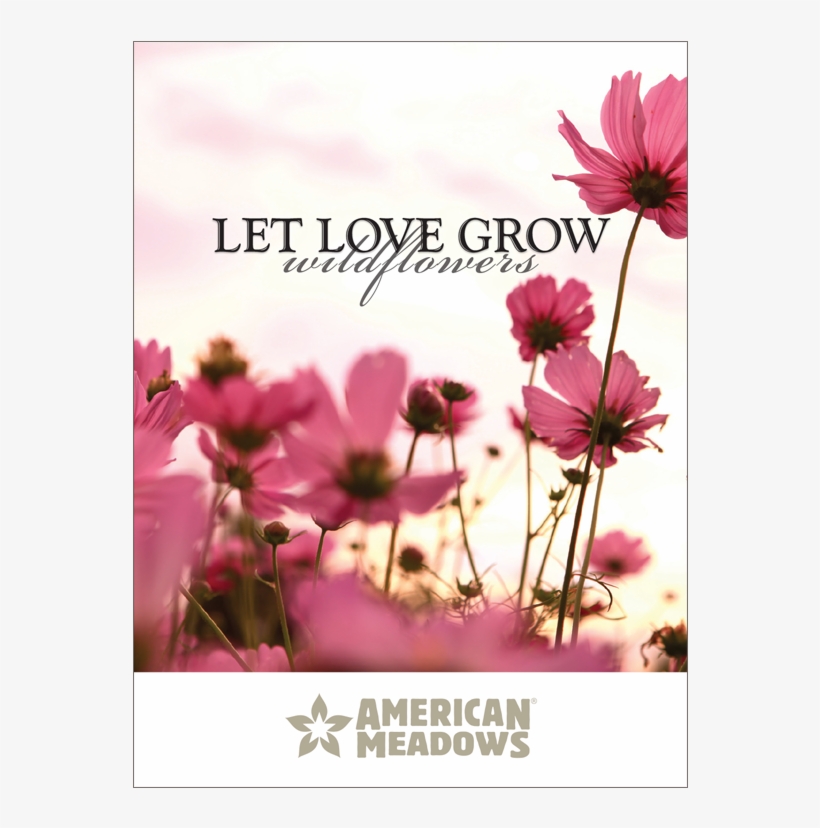 Cosmos Flowers Meadow At Sunset, Metal Art, 36w X 28h,, transparent png