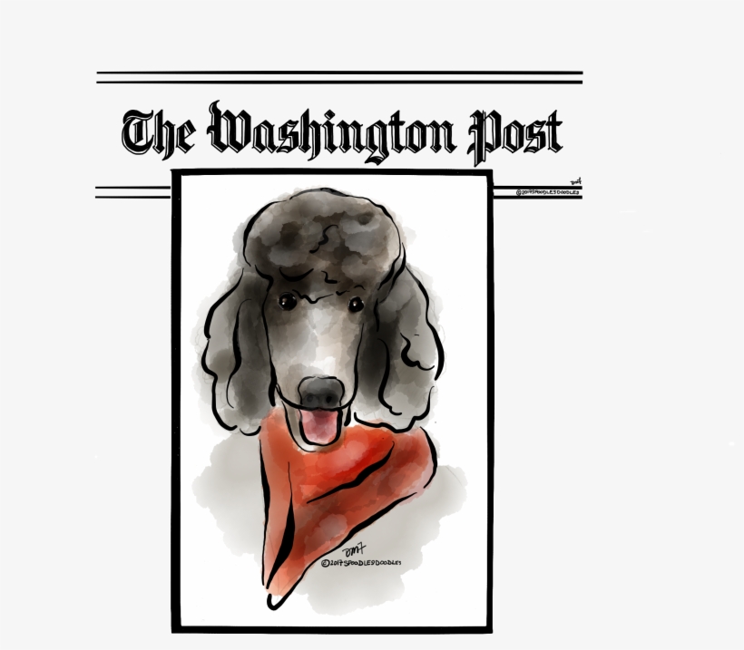 Visit - Washington Post, transparent png
