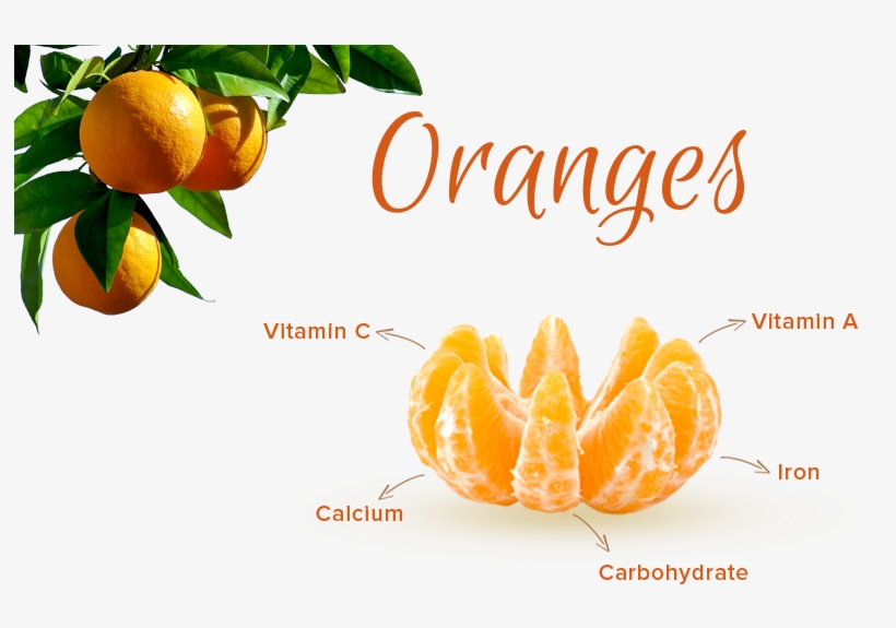 Doll Shop, transparent png