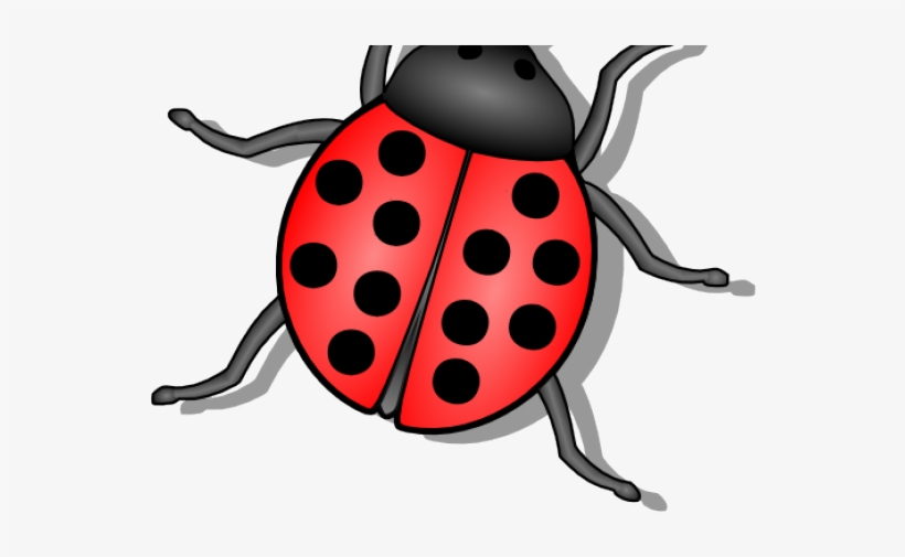 Flies Clipart Small Bug - Lady Bug, transparent png
