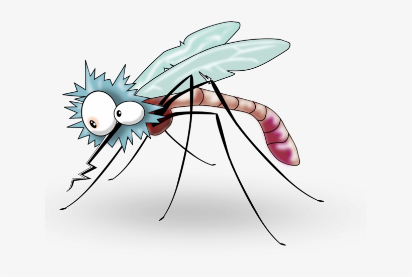 Flies Clipart Mosquito - Cartoon Mosquito Transparent Background, transparent png