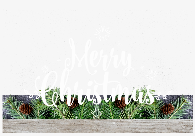 Pine Needle Personalised Christmas Cards - Artificial Turf, transparent png