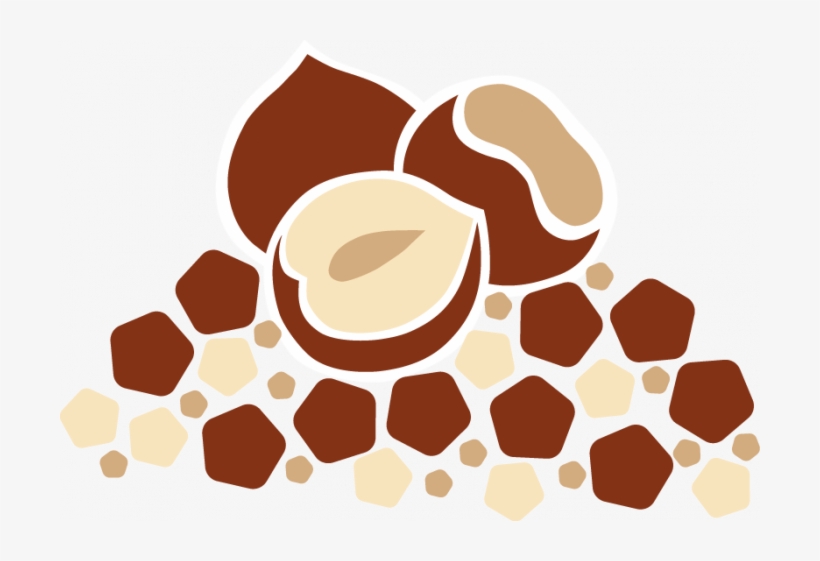 Hazelnut Processed, transparent png