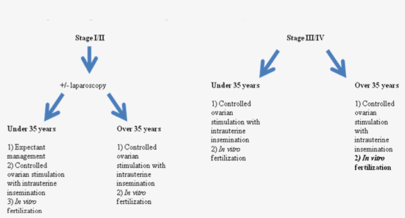 Treatment Algorithm For Infertility Associated With, transparent png