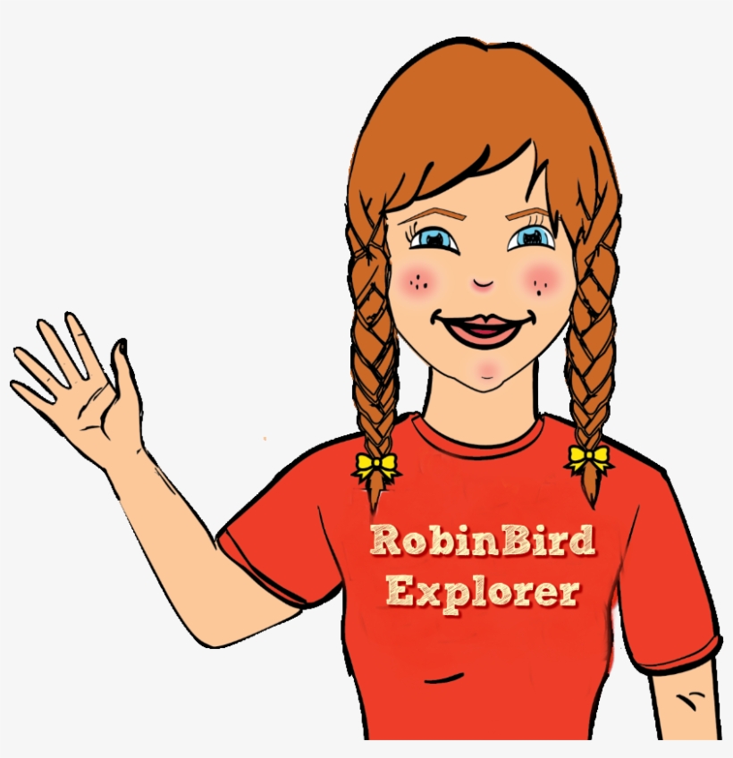 A Different Kind Of Bible Study - European Robin, transparent png