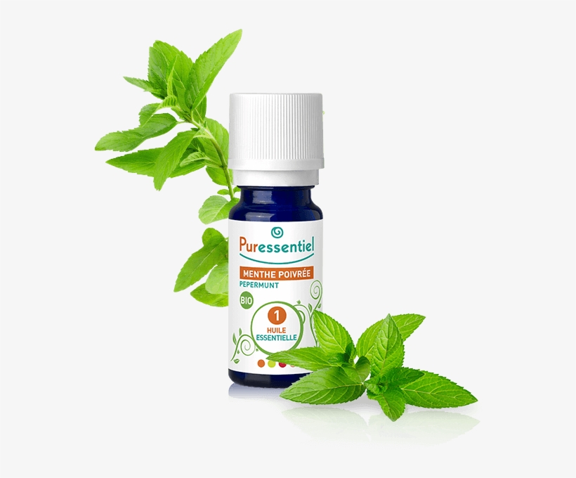 Puressentiel Essential Oil Peppermint 10ml - Puressentiel Expert Puressentiel Oil Essential Mint, transparent png