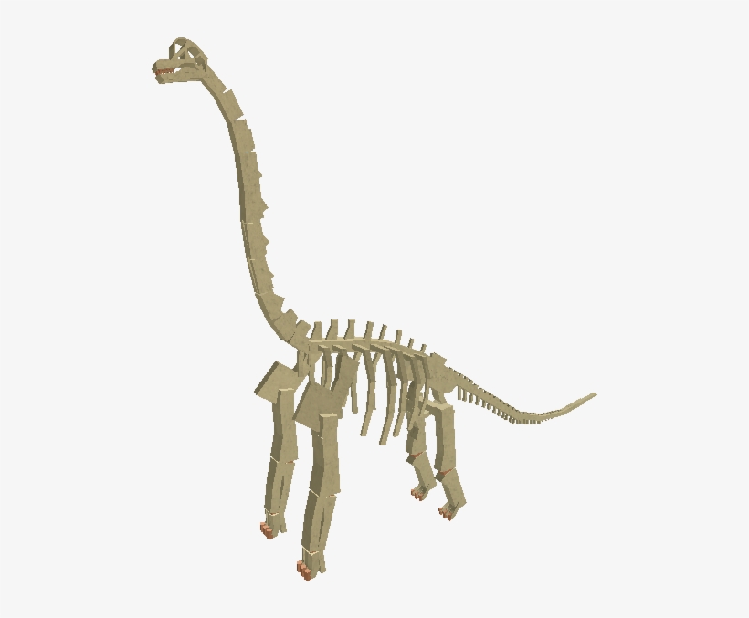 Fossil Brachiosaurus - Wiki, transparent png