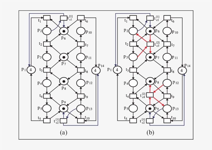 A Plant Net Coupling With A First-order Transition, transparent png