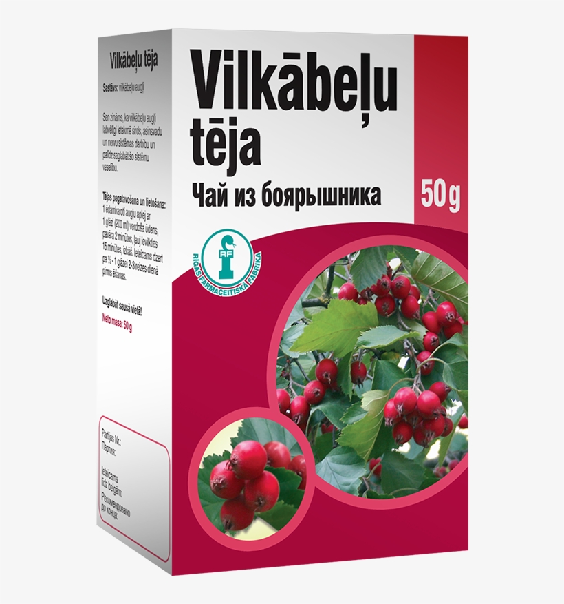 Hawthorn Tea - Hollyleaf Cherry, transparent png