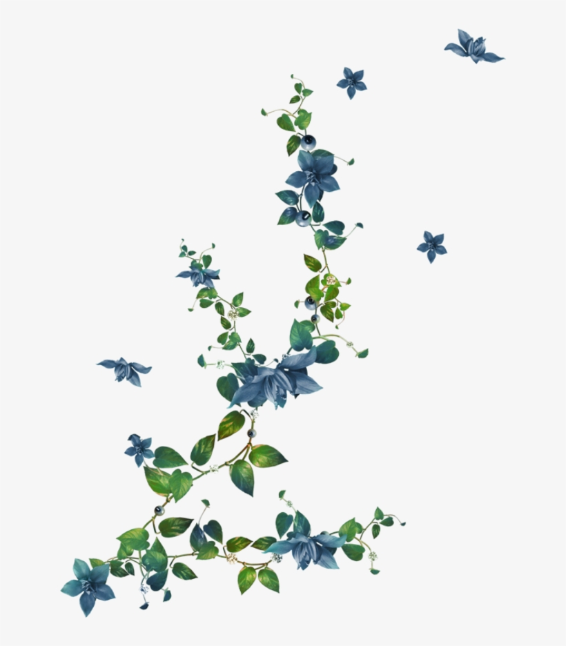 Islam, transparent png