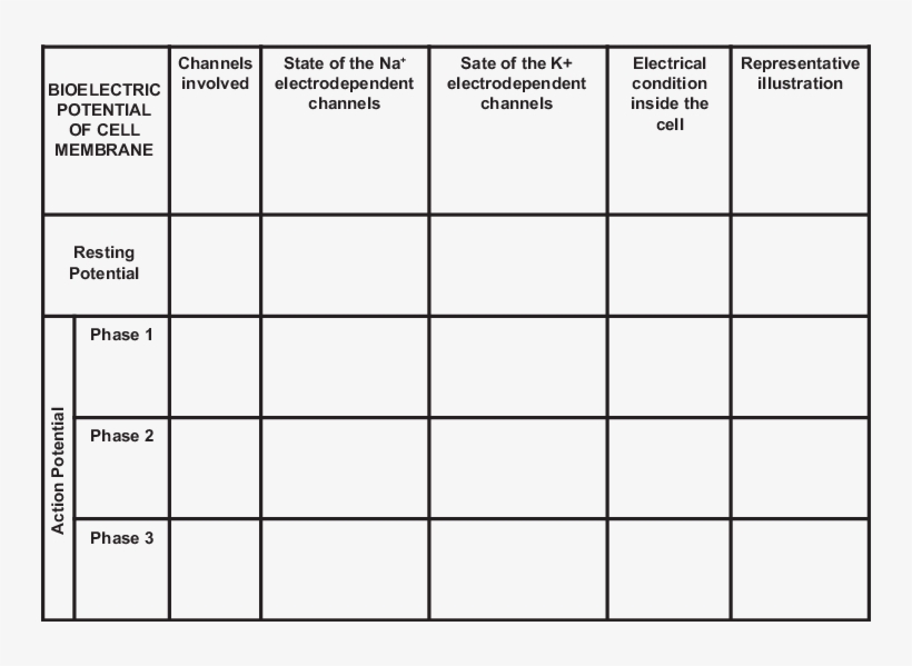 The Puzzle Board - Science, transparent png