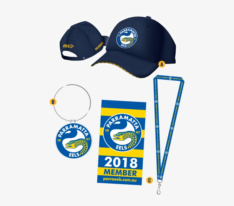 Payment Options - Nrl Essentials: Parramatta Eels (3 Discs) Dvd, transparent png