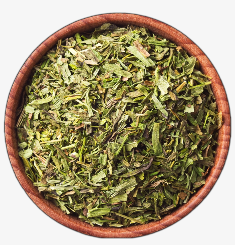 Groundcover Png, transparent png