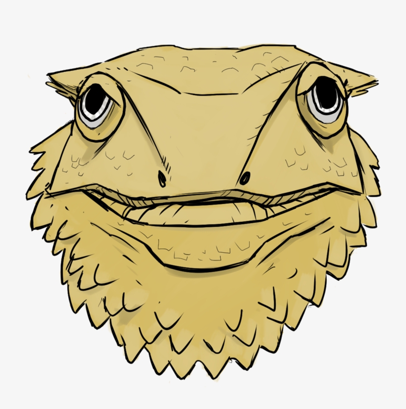 Bearded Dragon - Bearded Dragons, transparent png