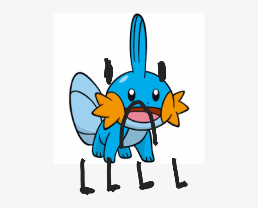 Mudkip 0 - Cartoon, transparent png