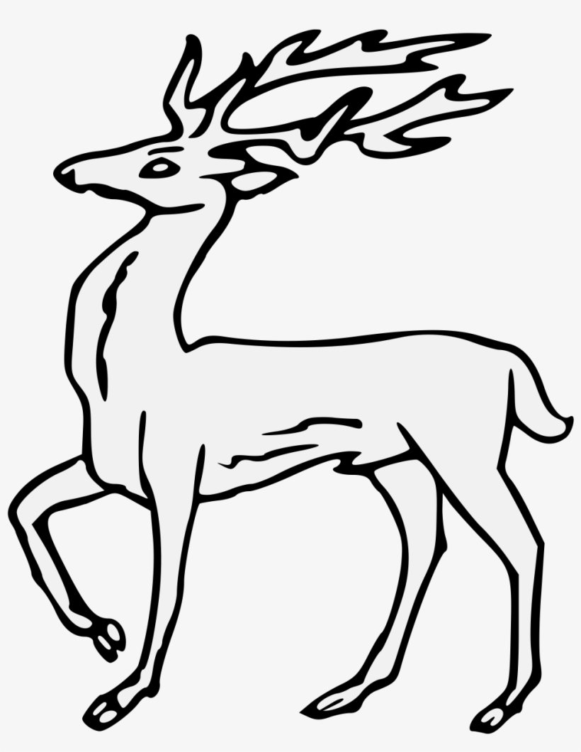 Details, Png - Roe Deer, transparent png