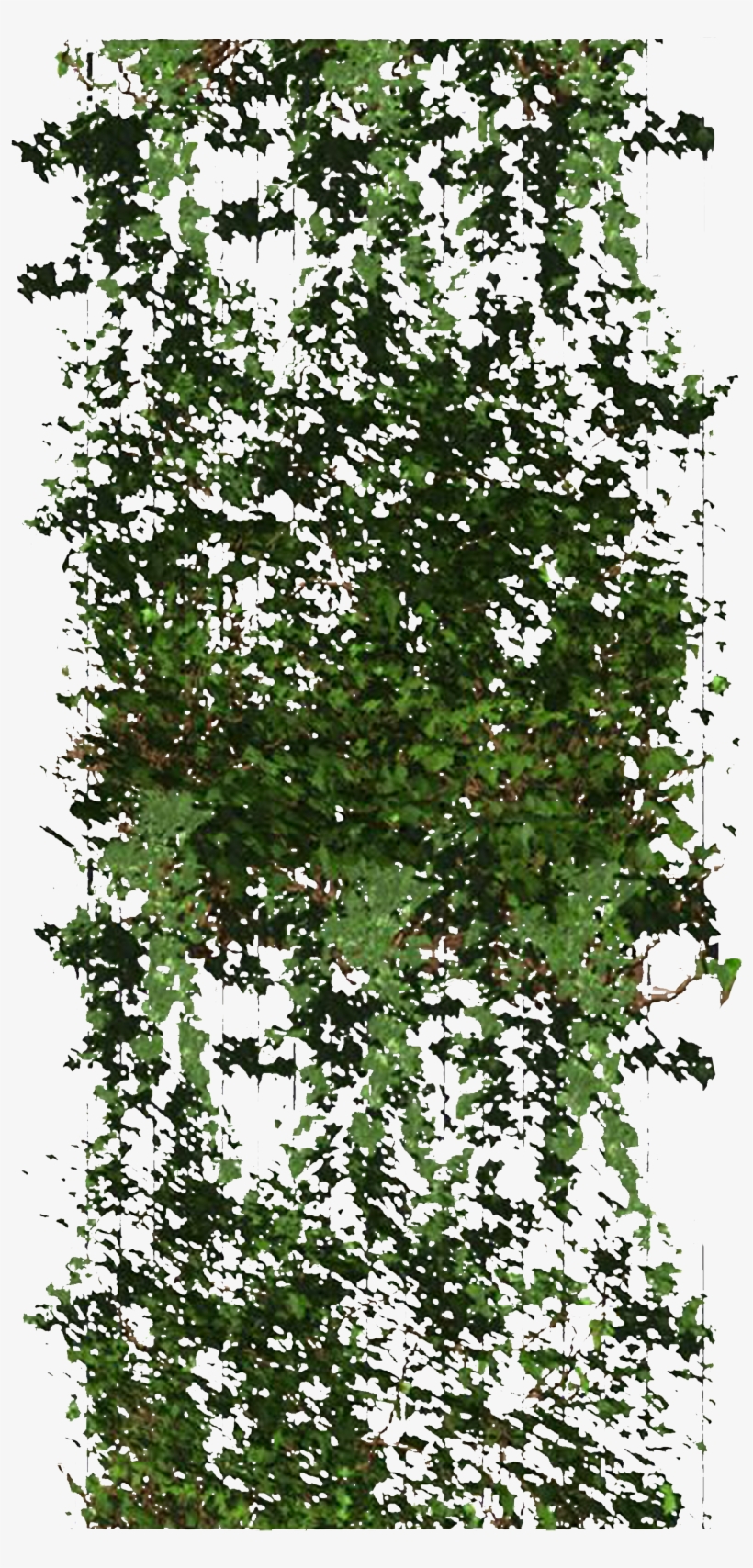 Pin By Samantha C On Architecture Material - Mock Orange, transparent png
