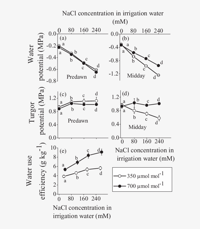 Effect Of Nacl Concentration In The Irrigation Water - Water, transparent png