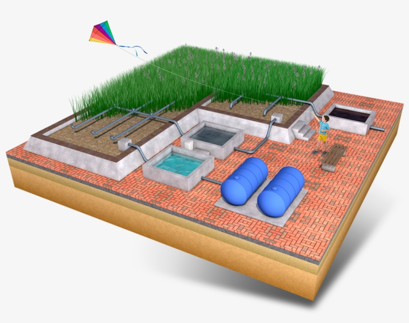 Paddy Field, transparent png