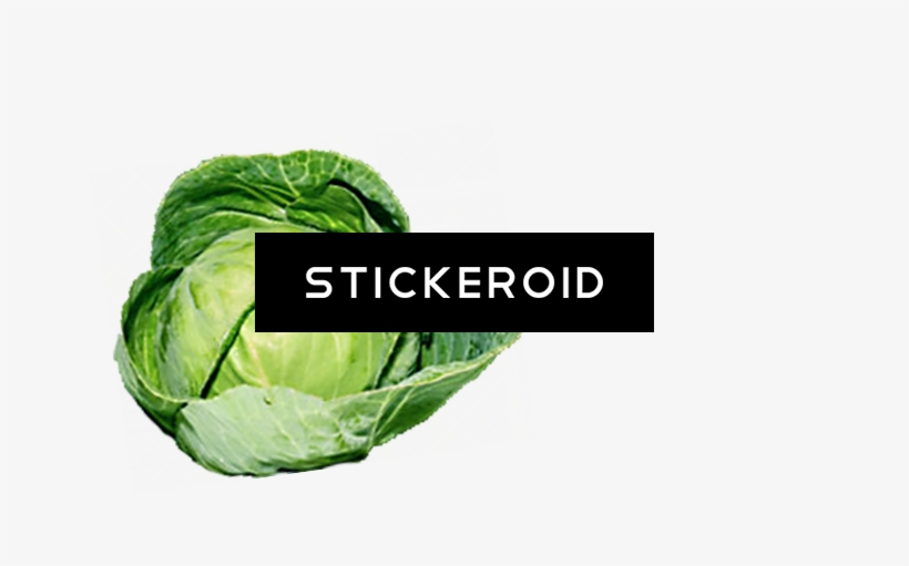 Organic Green Cabbage - Cruciferous Vegetables, transparent png