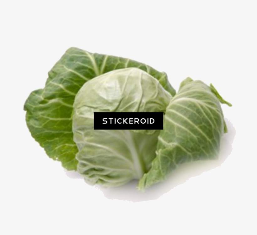Cabbage - Cruciferous Vegetables, transparent png