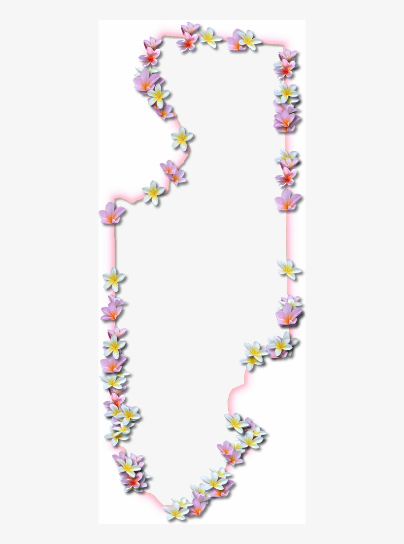 A Map Of Columbia With A Coral Color Glow Border And - Moth Orchid, transparent png