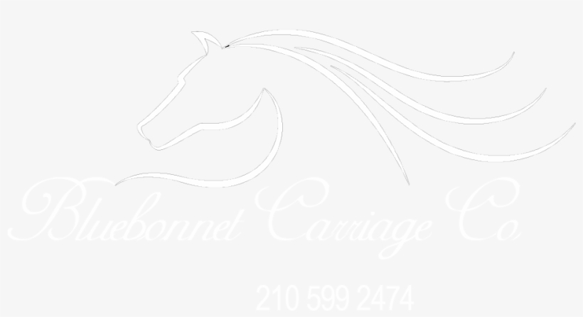 Jpg Royalty Free Download Bluebonnet Carriage Company - Stallion, transparent png