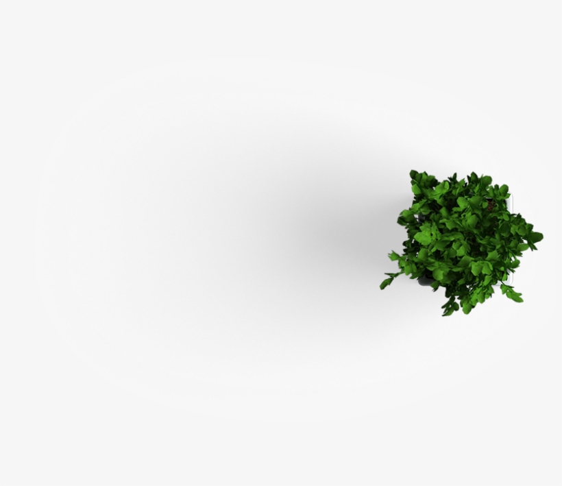 Slide 3 Plant - Résumé, transparent png