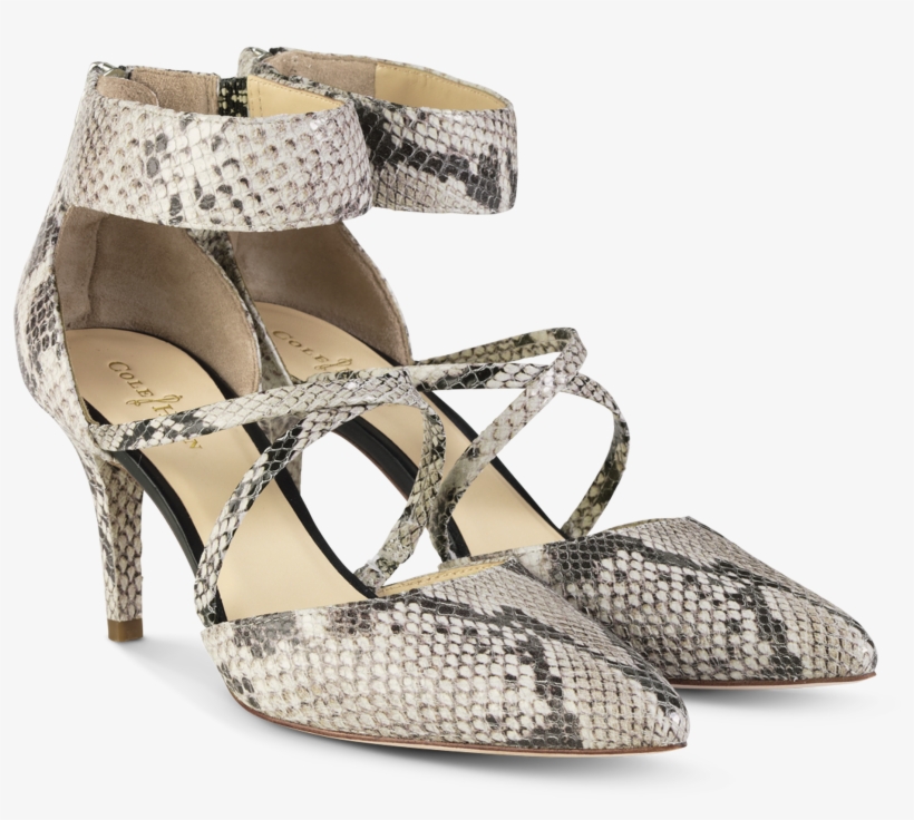 Trella Pump {in Sahara Snake Print} - Cole Haan 明星, transparent png