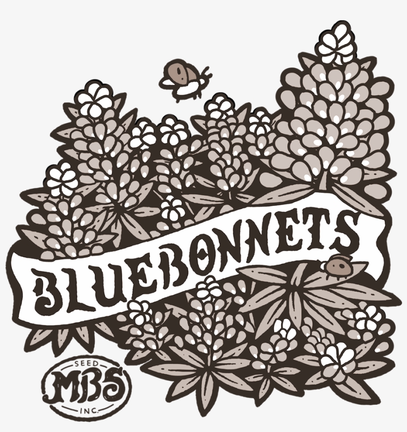 Coloring Book, transparent png