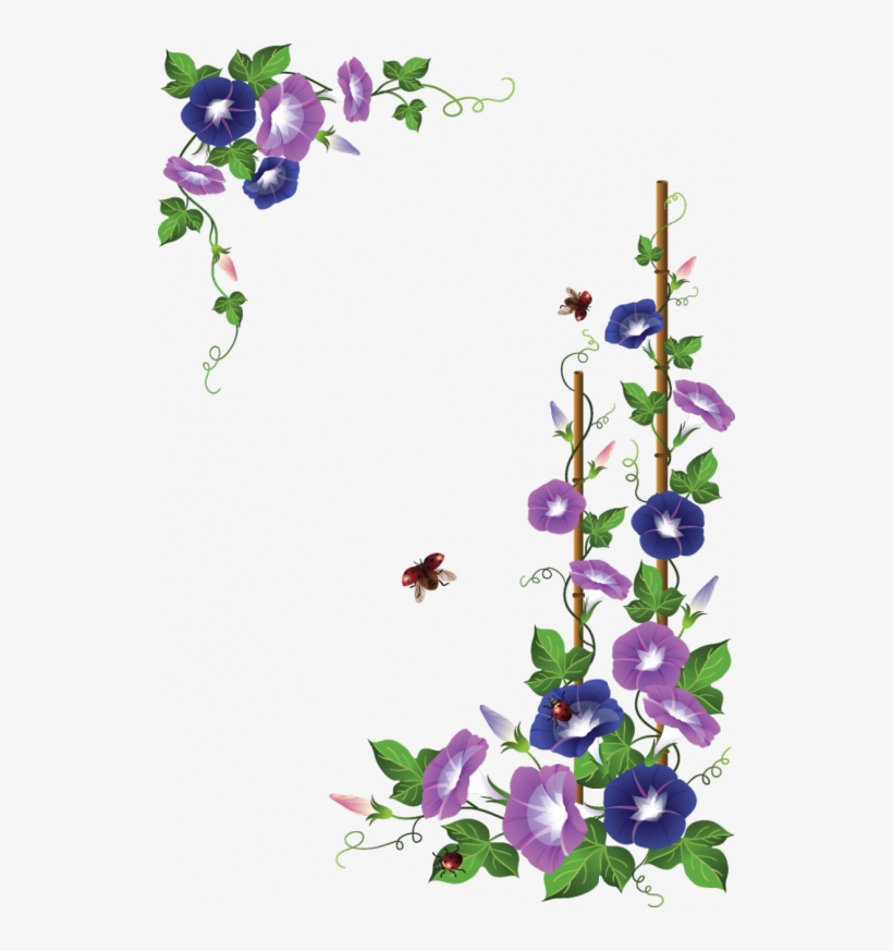 Border De Flores Png Clipart Floral Design Borders - Morning Glory Flower, transparent png