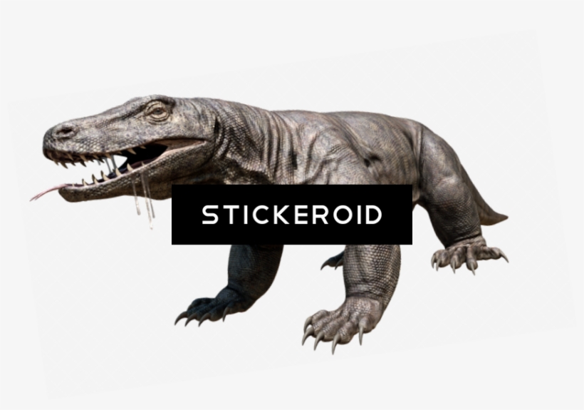 Komodo Dragon Hd, transparent png