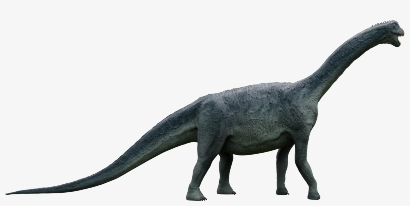 Camarasaurus - Tyrannosaurus, transparent png