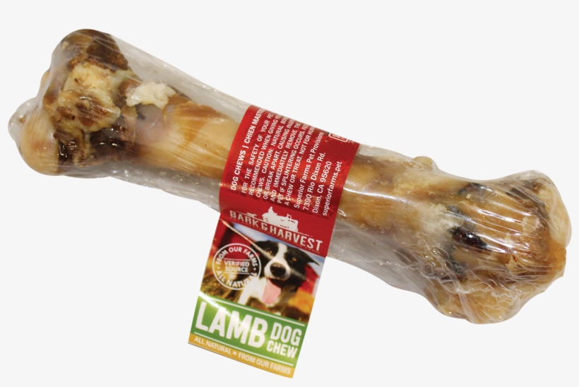 Lamb Gnawer - Lamb And Mutton, transparent png