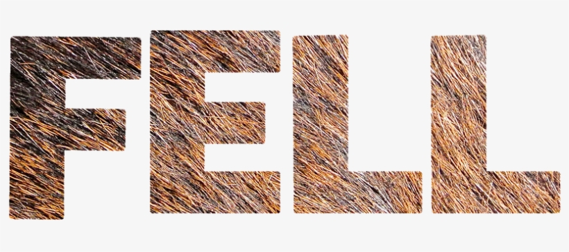 Fur Texture Lettering Structure Transparent Image - Texture Lettering, transparent png