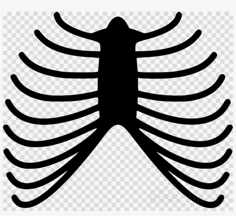 Human Skeleton Icon Clipart Human Skeleton Clip Art - Skeleton Png Body, transparent png