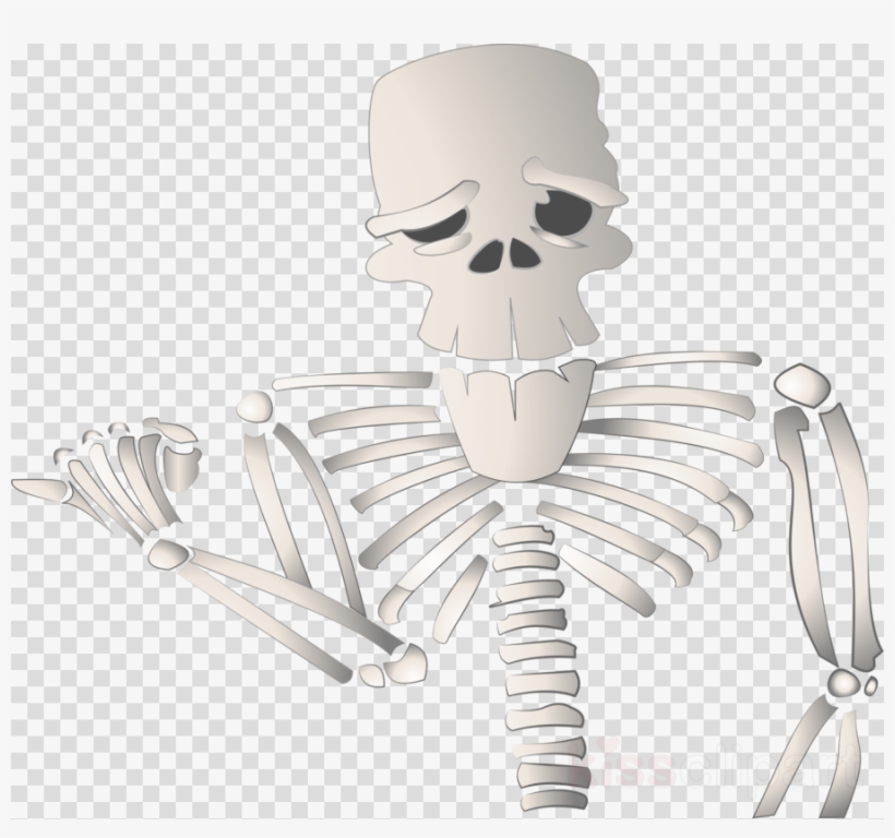 Skeleton Pointing Png Clipart Human Skeleton Clip Art, transparent png