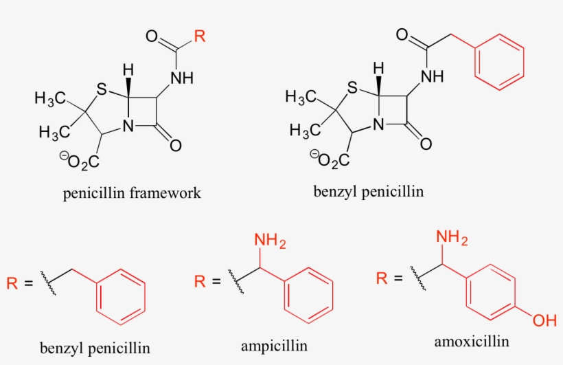 Using Abbreviations Appropriately Is A Very Important, transparent png