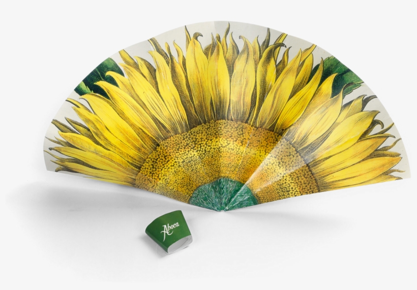Picture Of Flower Fan Sunflower - Large Sunflower (flos Solis Maior), Plate 1 713 Edition, transparent png