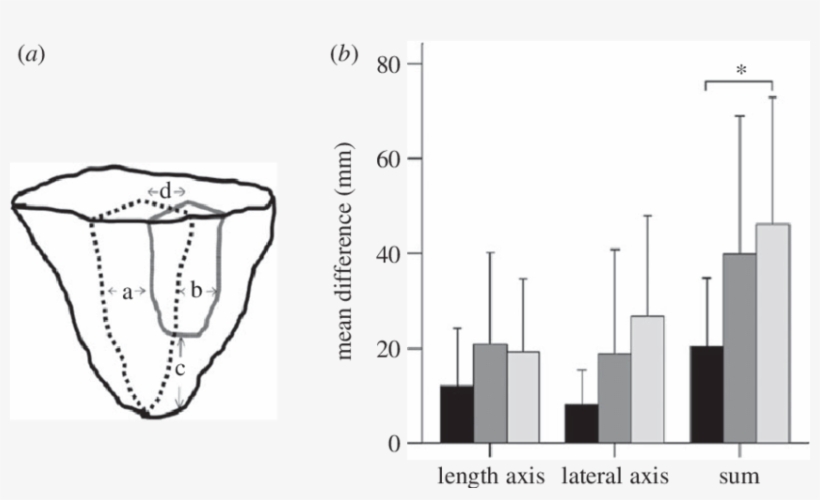 The Measurements Made On Predicted (black Dotted Lines) - Sketch, transparent png