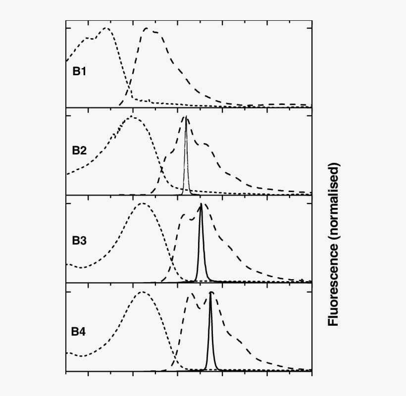 Absorption , Emission (dashed Lines) And Amplified - Amplified Spontaneous Emission, transparent png