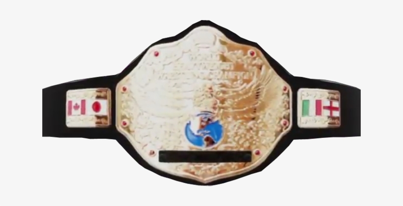 The Twe World Heavyweight Championship Is A Professional - Cartoon, transparent png