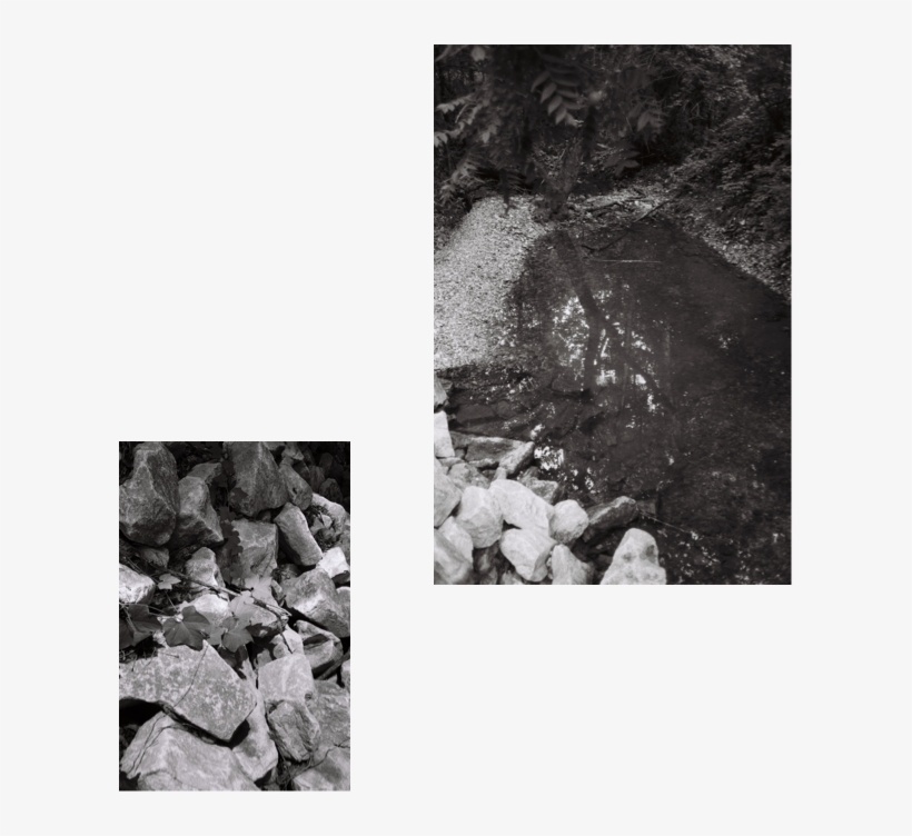 Q1 - Monochrome, transparent png
