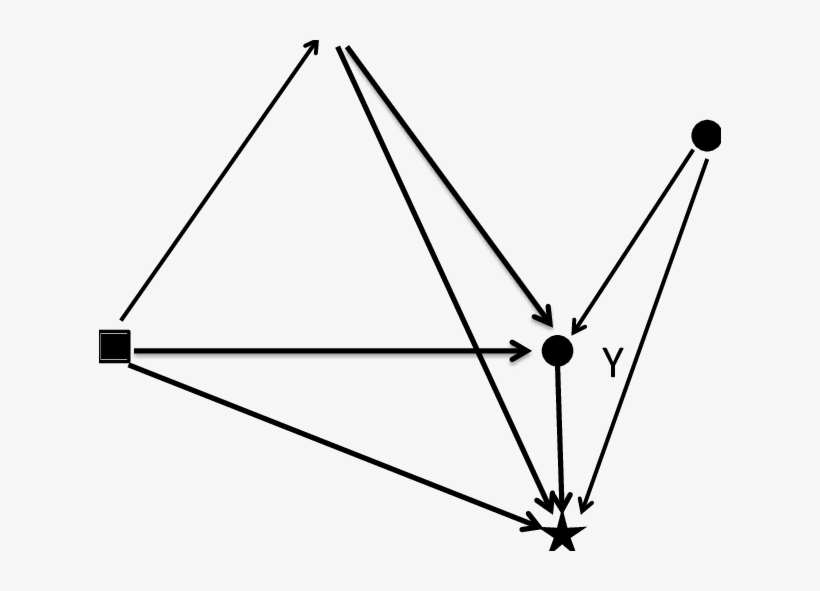 Influence Graph For A Physiological Process Y And D - Blood Pressure, transparent png