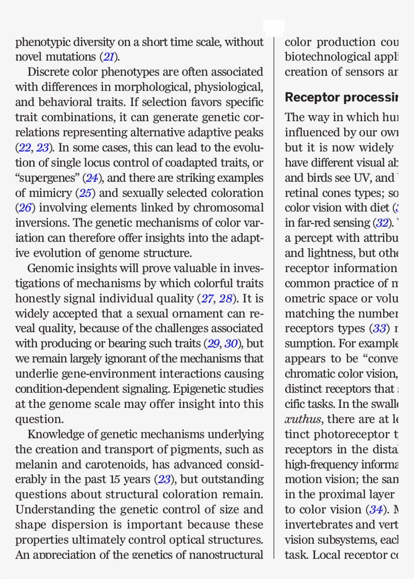 Download - Goose Tower In Vordingborg, Zealand, transparent png