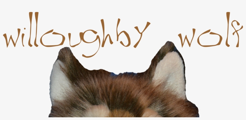 Website, transparent png