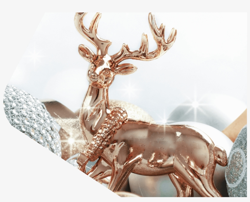 Conoce Más - Christmas Day, transparent png
